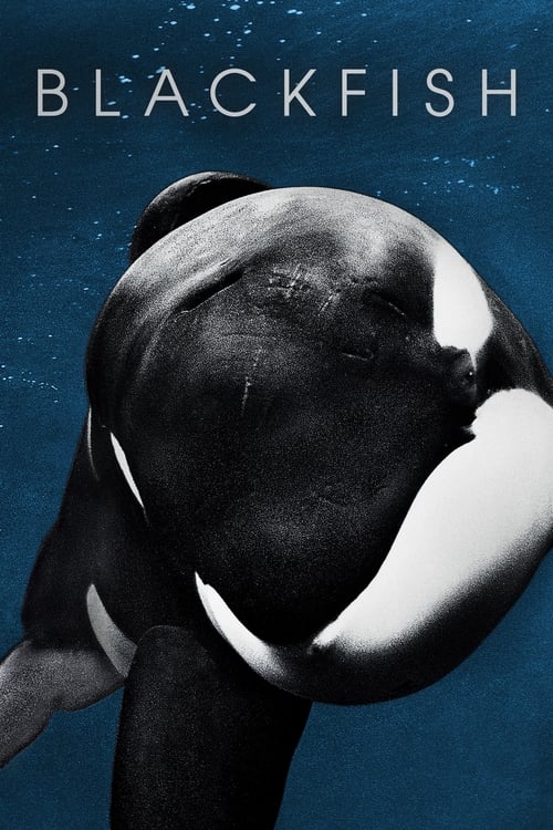 دانلود فیلم Blackfish